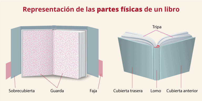 Partes De Un Libro Conócelas 📕